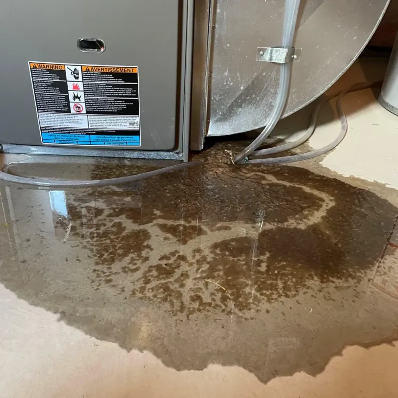 Appliance Leak Cleanup in Flint City, AL